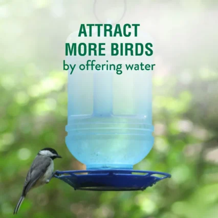 48 oz Water Cooler Bird Waterer