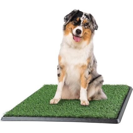 20x25 Reusable 3-Layer Artificial Grass Puppy Pee Pad