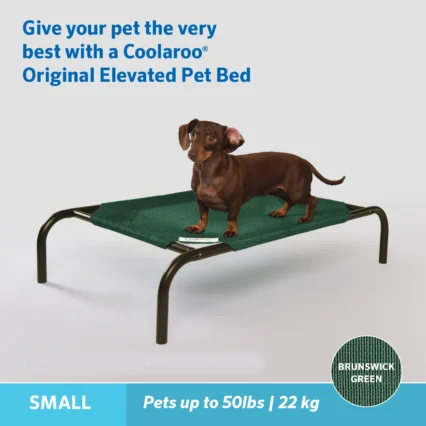 Elevated Pet Dog Bed For Indoor And Outdoor Use | Brunswick Green